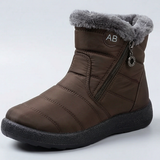 Braun